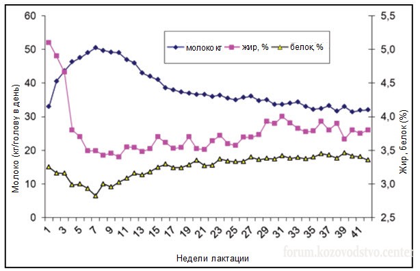 Продуктивность и показатели жира и белка на протяжении лактации.jpg