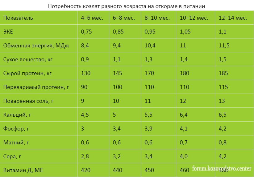 Нормы кормления коз – как правильно составить рацион 4.jpg