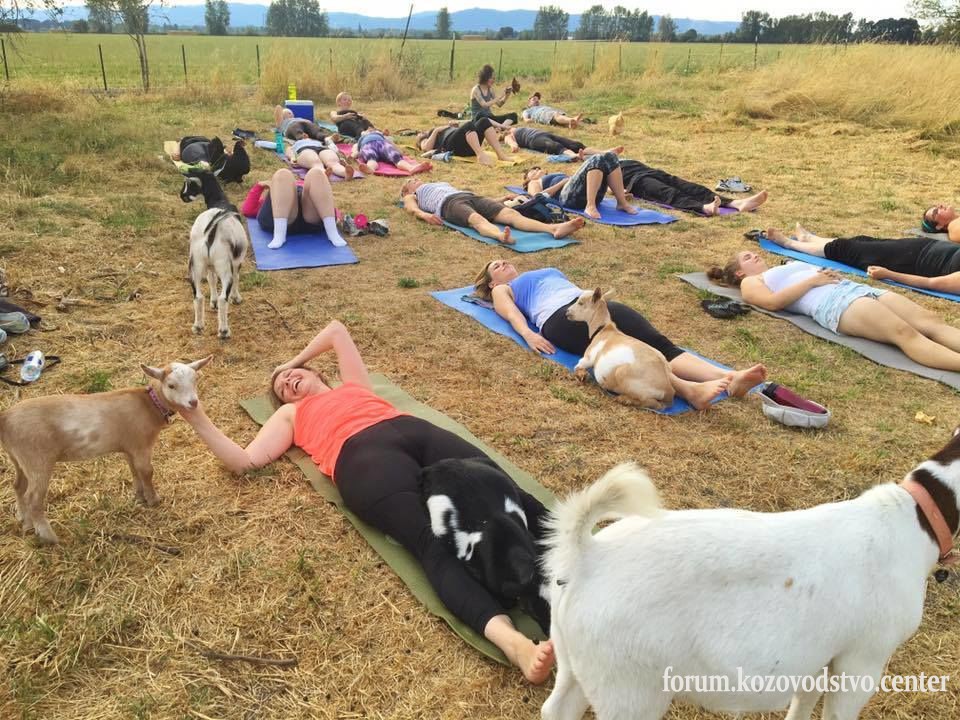 yoga_7_hxhsec.jpg